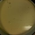 Saltinhalator