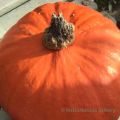 Pumpapuré, rostade pumpafrön/pumpakärnor, fler[...]
