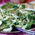 Nudelsallad med citrondressing