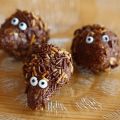 Chokladbollsigelkottar till dagis