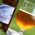 Öl - Summer ale APA