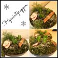Hyacintgrupper