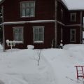 Så tomater och drömma om sommar