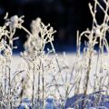 Fototriss - Vitt
