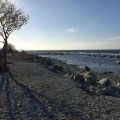 Själsö I Februari