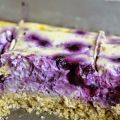 Blueberry cheesecake bars - 47 kcal