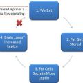Leptin och leptinresistens: Allt du behöver veta