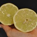 Fisk med citron- och dragonsmörsås