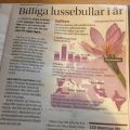Billigt saffran