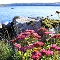 Paradiset stängt 2024