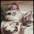 Chokladmaränger