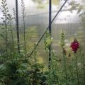 Sniglar
