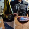 Druvan och vinet 47: Grolleau noir; 2020 Margot[...]