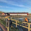 Planering av nyårsmenyn och promenader i solen