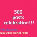 500 posts celebration!!!