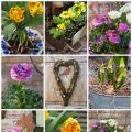 Tack alla söta vårblommor