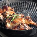 Kronfågels grillundersökning