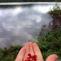 En semestervecka i Orsa