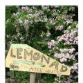 Lemonad