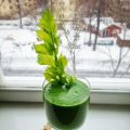 Super powerful green smoothie