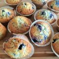 Blåbärsmuffins