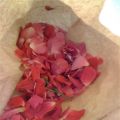 La vie en rose