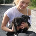 Bloggtips!