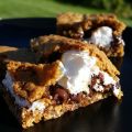 CHOCOLATE CARAMEL S`MORES BAR