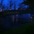 Morgonpromenad som energitankning och[...]