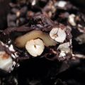 Rocky Road
