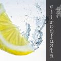 Uppgraderad Master Cleanse Citronfasta