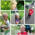Sötaste blomplockarna...