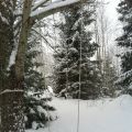 Snö