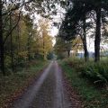 Höstpromenad