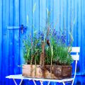Rabarbertid -Rabarbersylt med lavendel