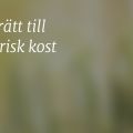 Barns rättighet som vegetarian
