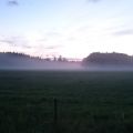 Veckans planering