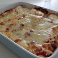 Kycklingenchiladas