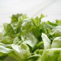 Sallad - husmorstips