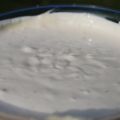 Enkel aioli