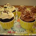 Chocolate Cupcakes