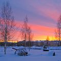 Gyllne morgon