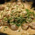 Vegetarisk korv stroganoff