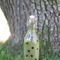 Saft av svarta vinbärsblad