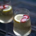 Flädersangria
