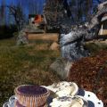 Lavender Cupcakes with Honey Frosting
