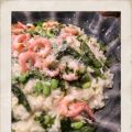 RISOTTO MED SOJABÖNOR, SPARRIS OCH RÄKOR