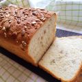 Glutenfritt fröbröd med havre