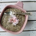 Vaniljpudding på chiafrön