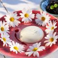 Pannacotta med myntamarinerade vinbär